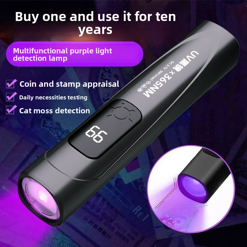 Resin Art Uv Light - 365nm UV-Schwarzlicht-Taschenlampe Tragbares Ultraviolett-Schwarzlicht für Haustier-Schuppenflechte-Detektion