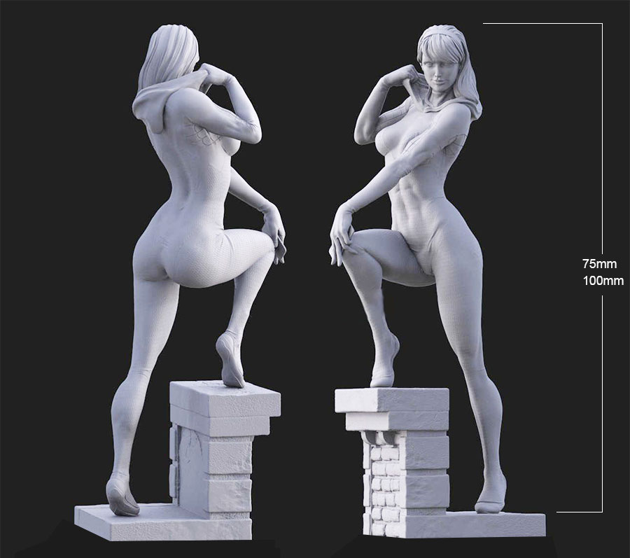 Resin Art Zelda - 1/24 75 mm 1/18 100 mm