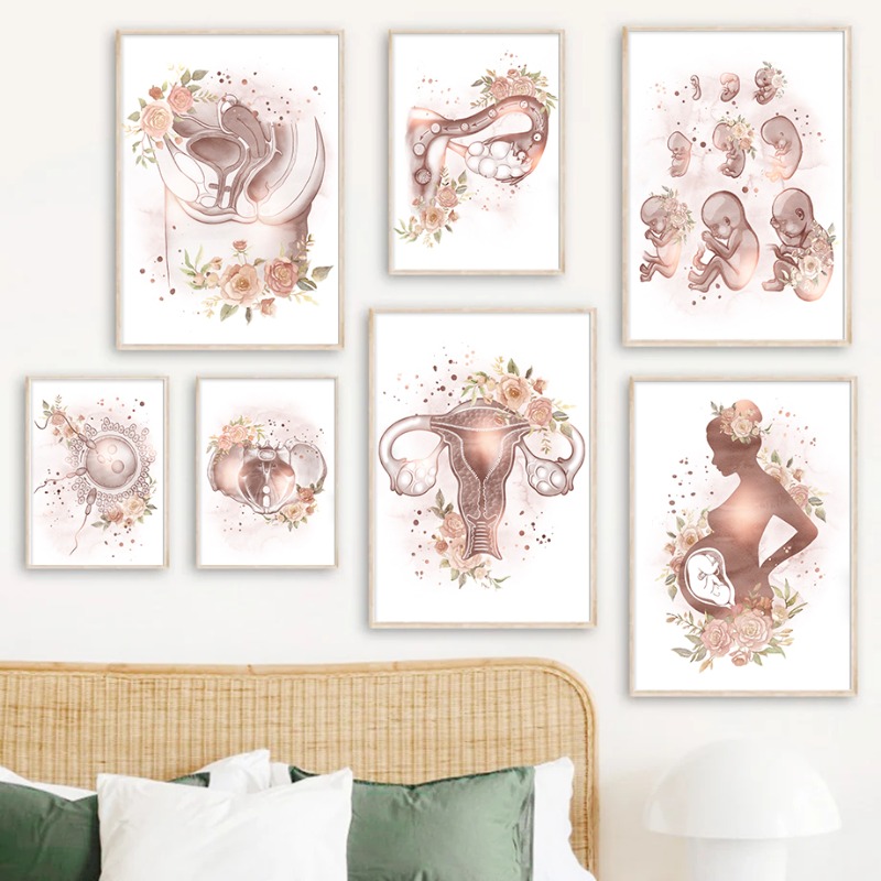 Gynäkologie Weibliche Anatomie – Resin Art Pregnancy Bewertung und Preis
